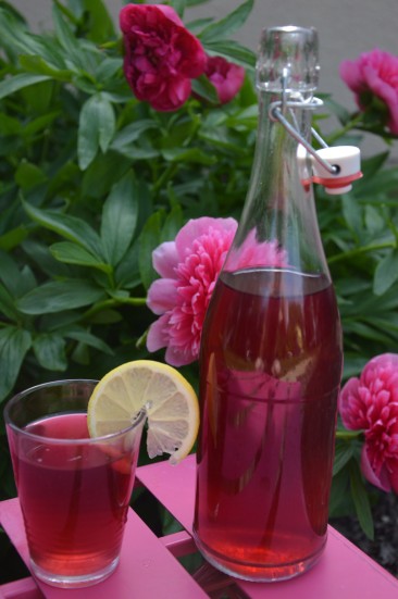 elixir du diable