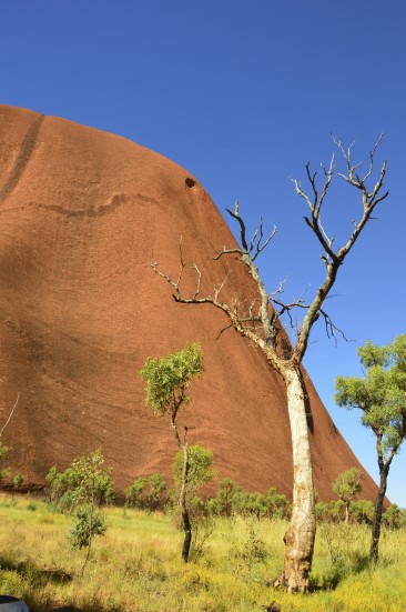Uluru