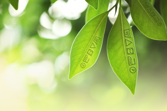 greenwashing