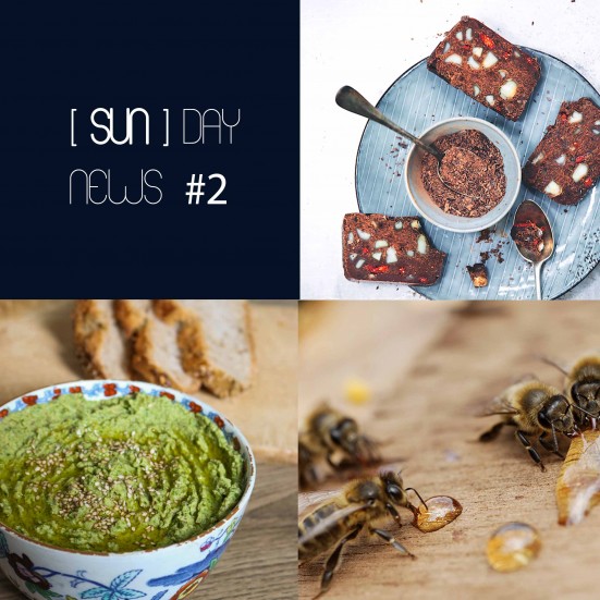 [SUN]DAY NEWS #2