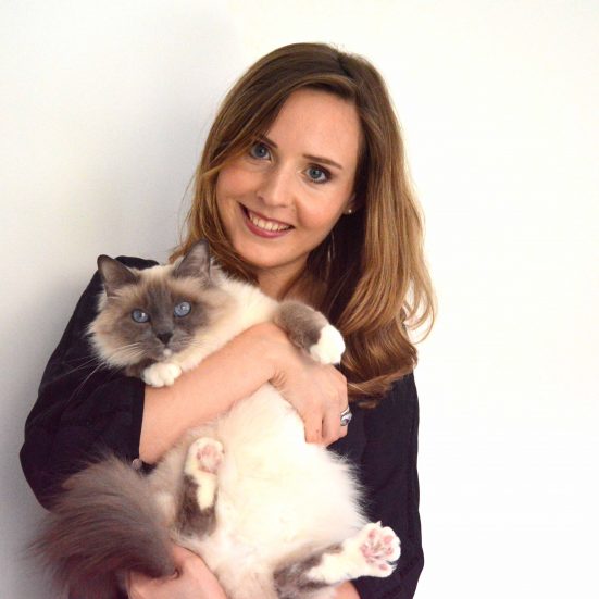 Photo avec Chat