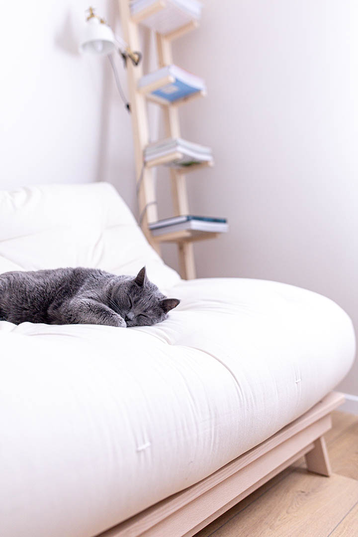 Cette image représente un chat allongé sur le canapé lit Europe & Nature.